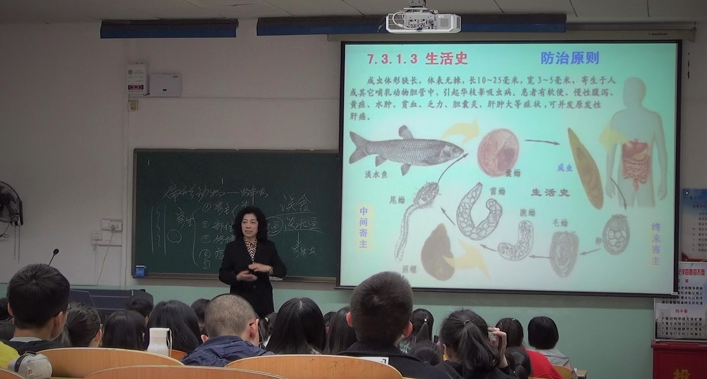 376e8f6287ee40e0bc9914f8ab824634.png 376e8f6287ee40e0bc9914f8ab824634.png