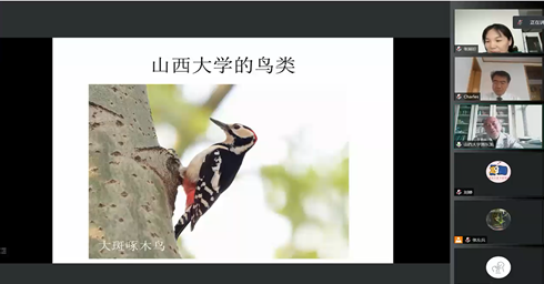 6ea3d97e9bb846799f0c671df84298b5.png 6ea3d97e9bb846799f0c671df84298b5.png